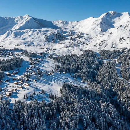 Les Mouflons Taninges